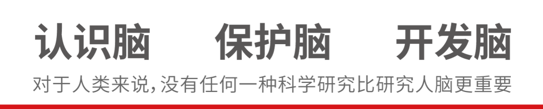 認(rèn)識(shí)腦，保護(hù)腦，開發(fā)腦